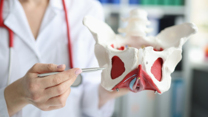 Trattamento fisioterapico per i disturbi muscolari del pavimento pelvico