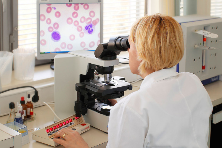 Ženska v laboratorijski obleki gleda skozi mikroskop, medtem ko je na zaslonu računalnika prikazano barvno mikroskopsko sliko krvnih celic. Na mizi poleg mikroskopa so različne laboratorijske steklenice in naprava za merjenje.