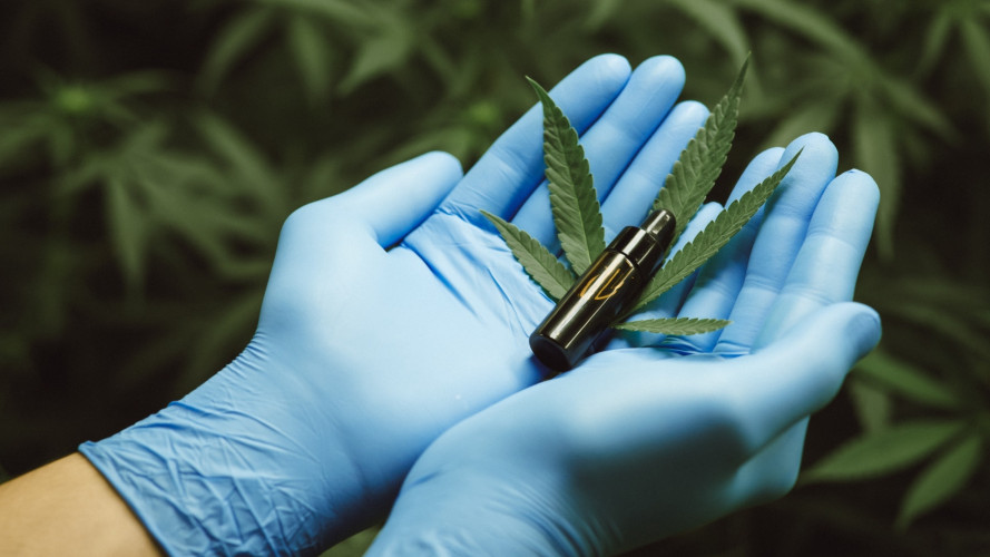 V rokah, zaščitenih z modrimi rokavicami, leži črna steklenička s konopljinimi listi okoli nje. V ozadju so vidne rastline konoplje.